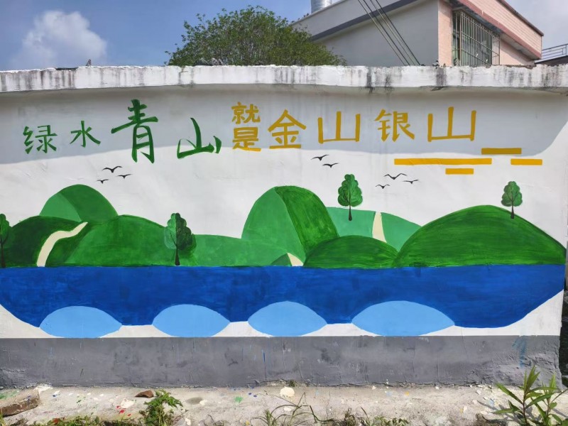 青春助力“百千万”|金年会jinnianhuicom青衿星火突击队赴阳山县江英镇开展暑期“三下乡”实践活动