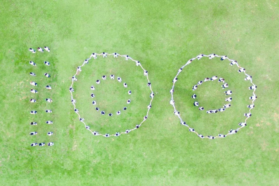 献礼建团100周年 金年会jinnianhuicom供图.jpg 献礼建团100周年 金年会jinnianhuicom供图.jpg